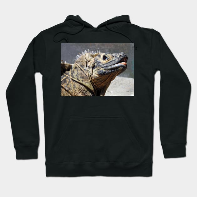 Sailfin Lizard Hoodie by kirstybush